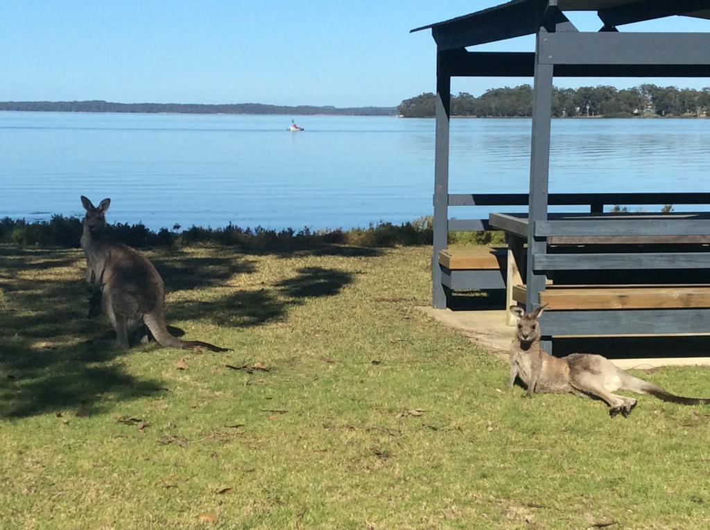 Dungowan Holiday Accommodation Erowal Bay Luaran gambar